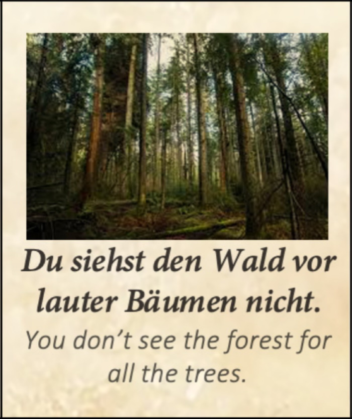 Du siehst den Wald vor lauter Bäumen nicht.	  Od šume ne vidiš drvo.